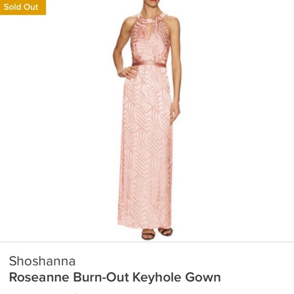 Shoshanna | NWT Blush Gown - Picture 3 of 13